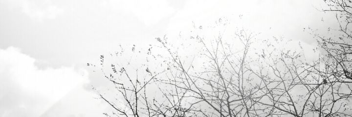 t_mari1210's profile banner image