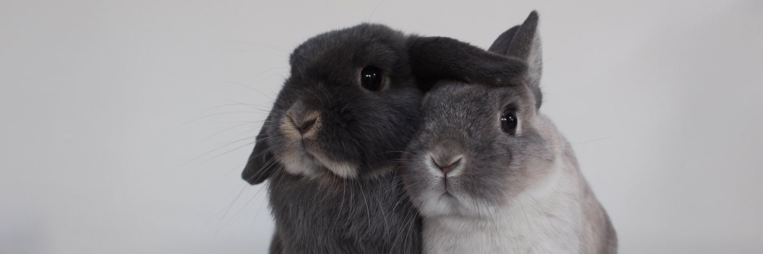 jonnyandjay's profile banner image