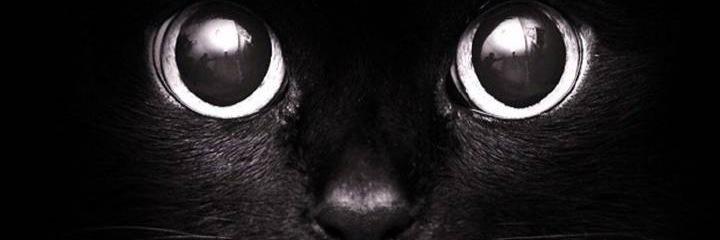 Shantong3T's profile banner image