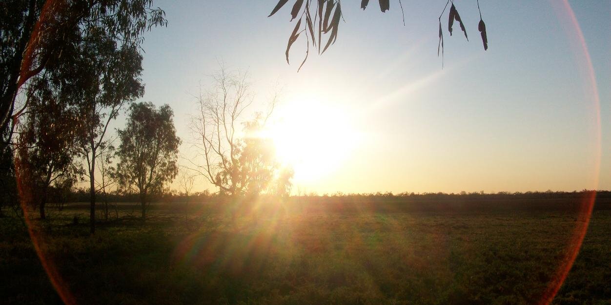 Lucy C M M Jackson banner