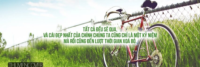 Linh Bùi banner
