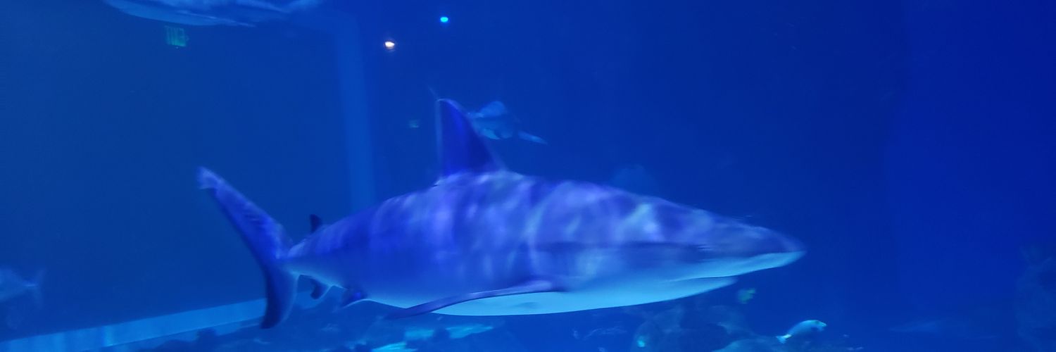 carverredacted's profile banner image