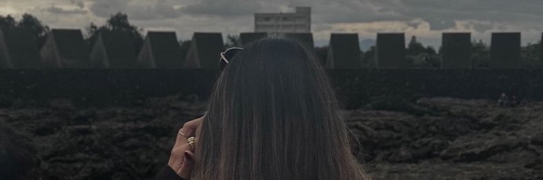SebasDelfinM's profile banner image