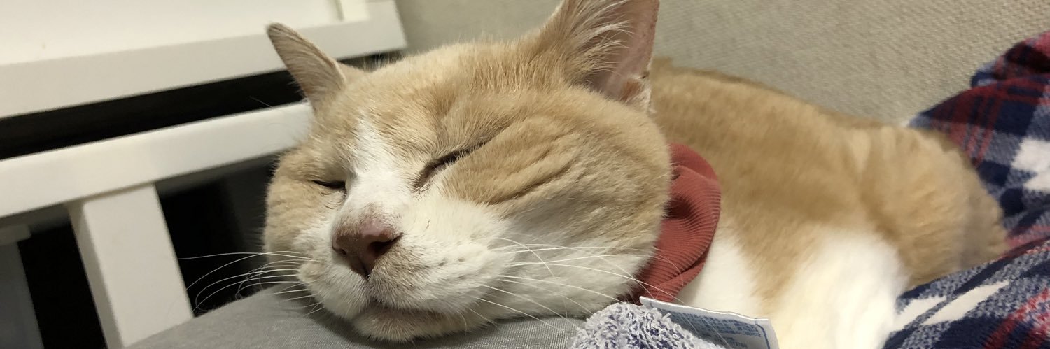 ocaki40's profile banner image