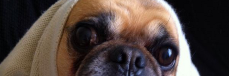 chimpoexd's profile banner image