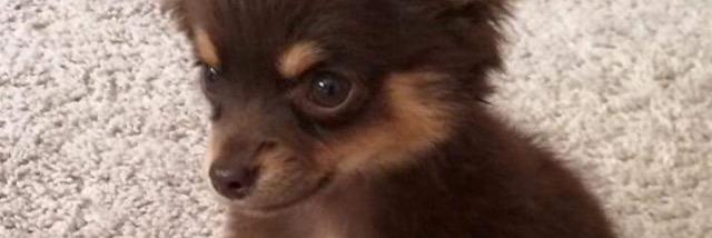 FindCaramel's profile banner image