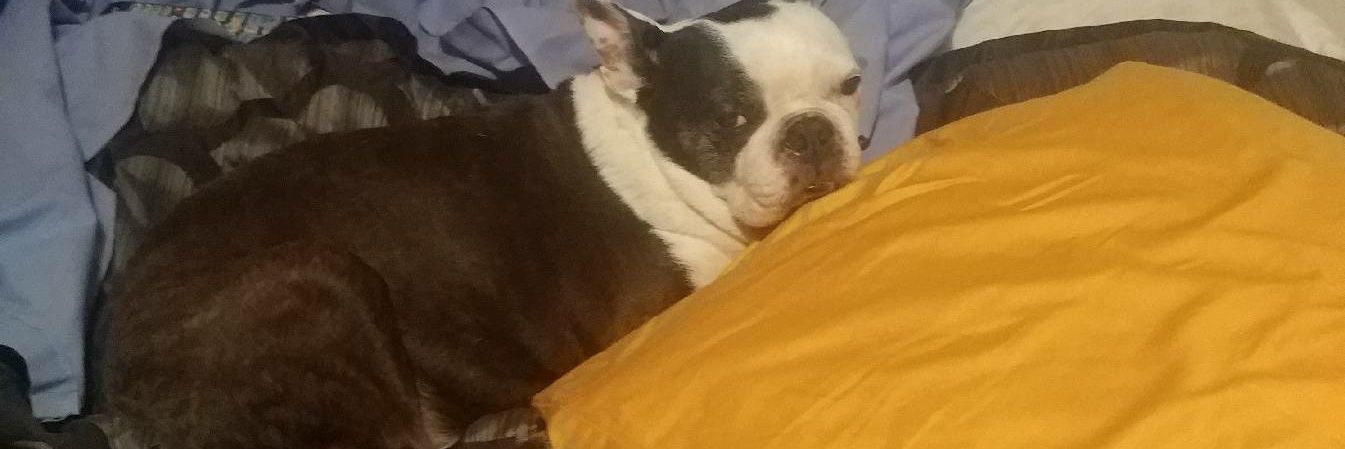 WinstonRice's profile banner image