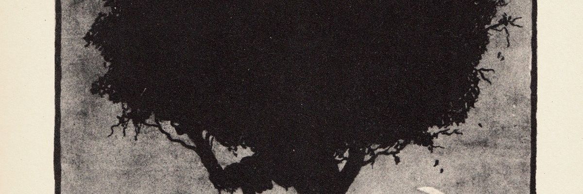 Yash9_Divi's profile banner image