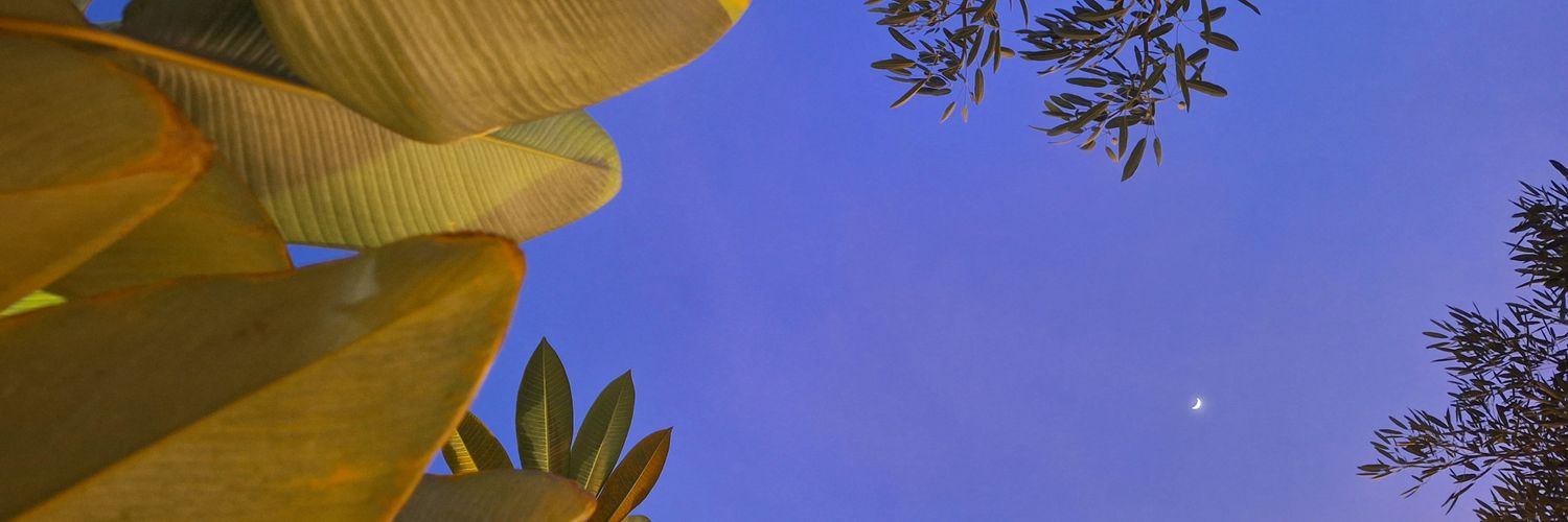 its_bcdefgh_'s profile banner image