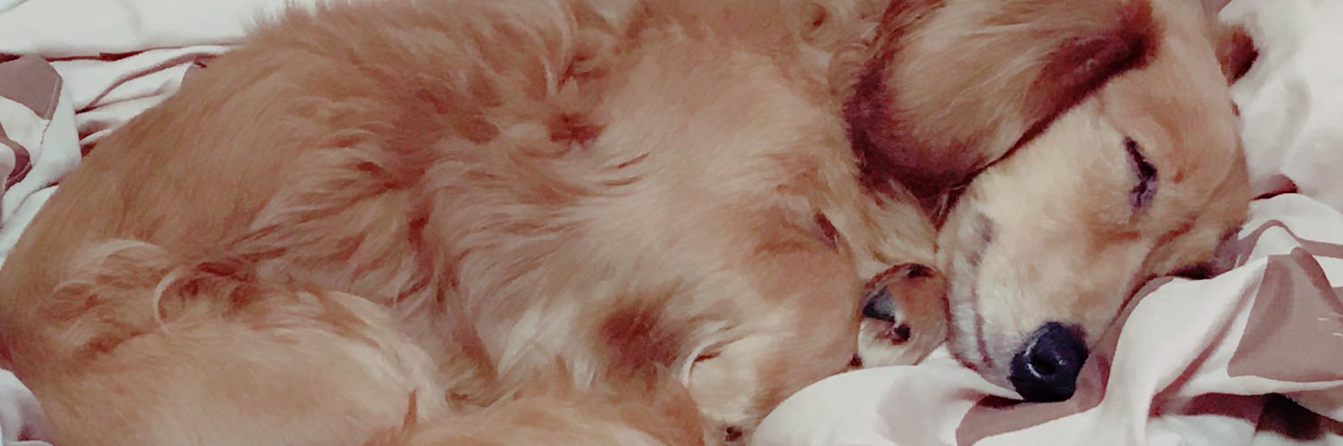 tommy5897's profile banner image