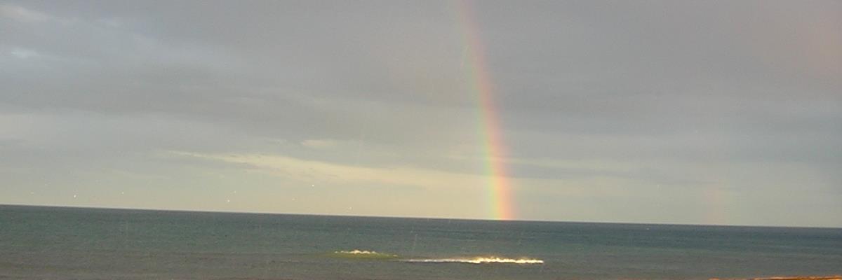 titamagna's profile banner image