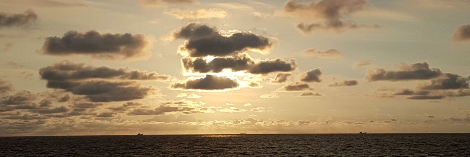 abellenws's profile banner image
