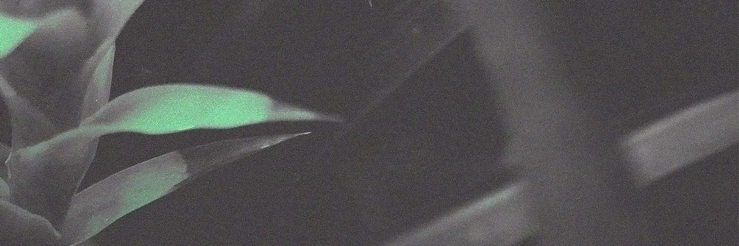 eceptamusic's profile banner image