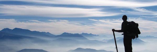 CardinalNapier Profile Banner