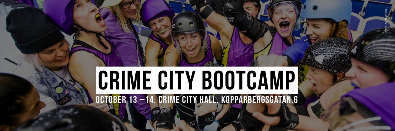 Crime City Rollers banner
