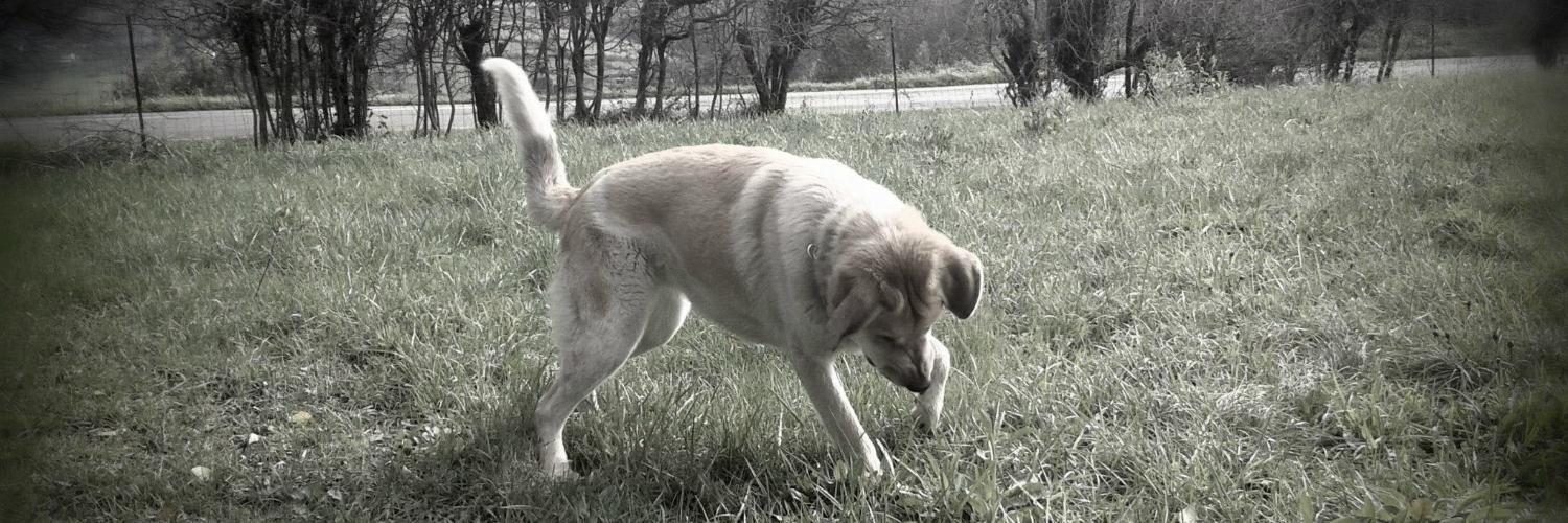 ClaudioMdez's profile banner image