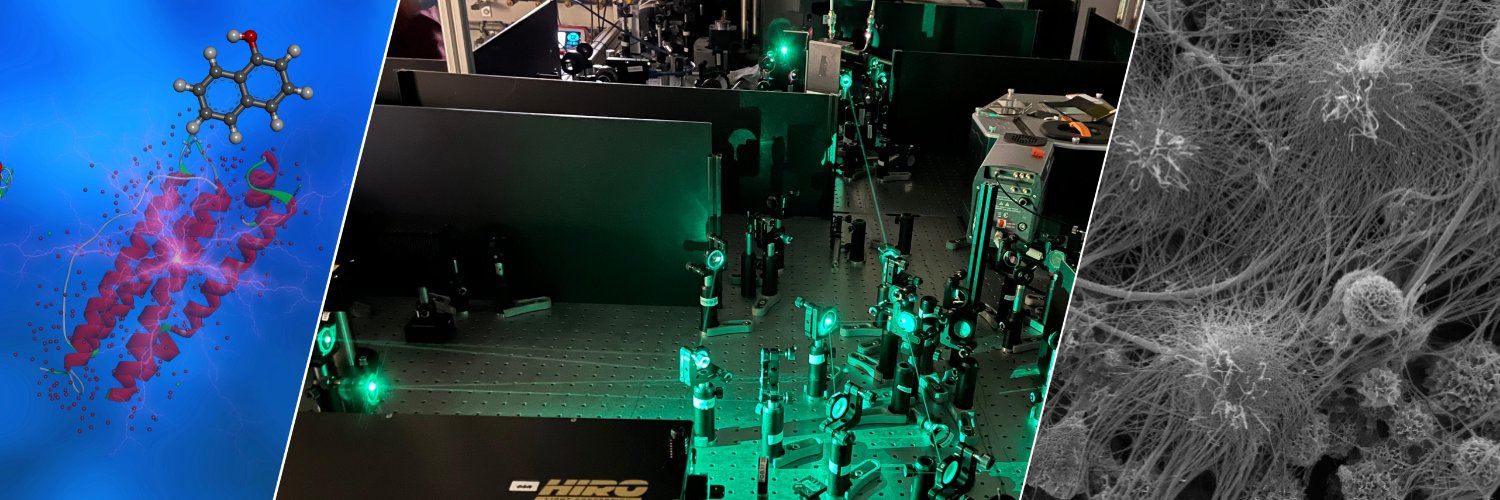 Dr. Ramesh Nandii, PhD banner
