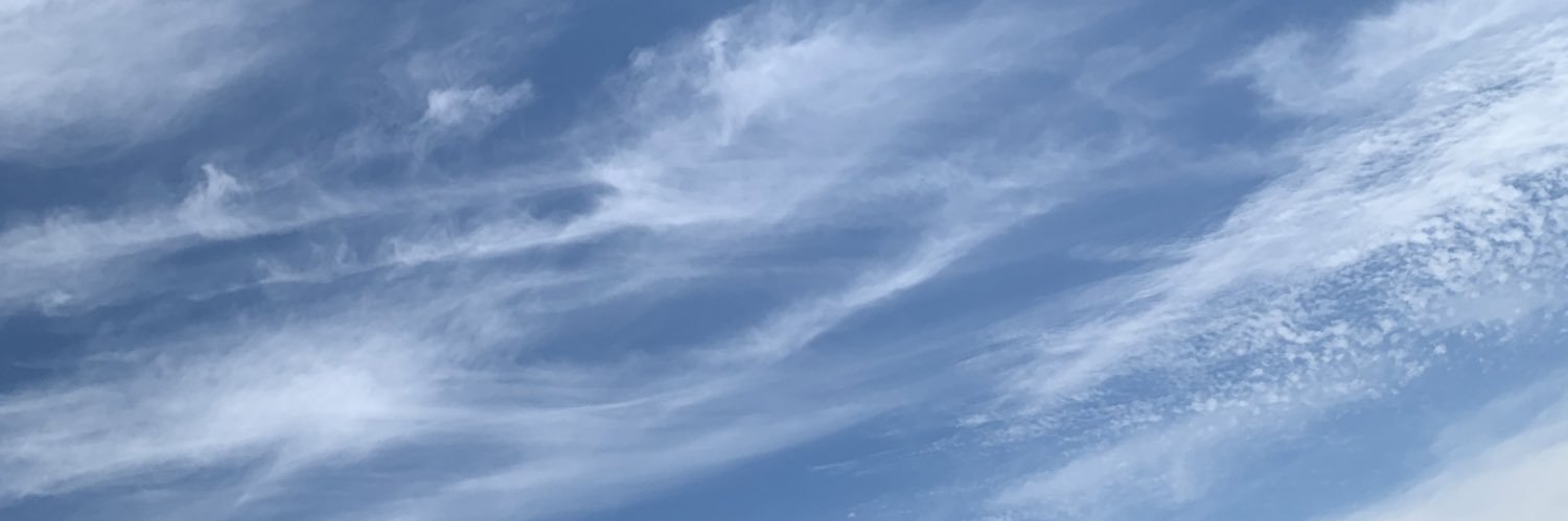 snkzrhsw's profile banner image