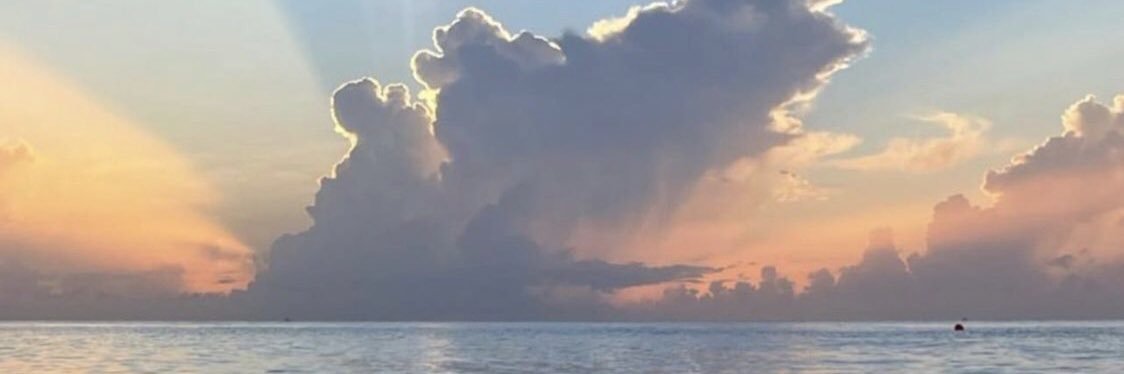 AimeeRadatz's profile banner image