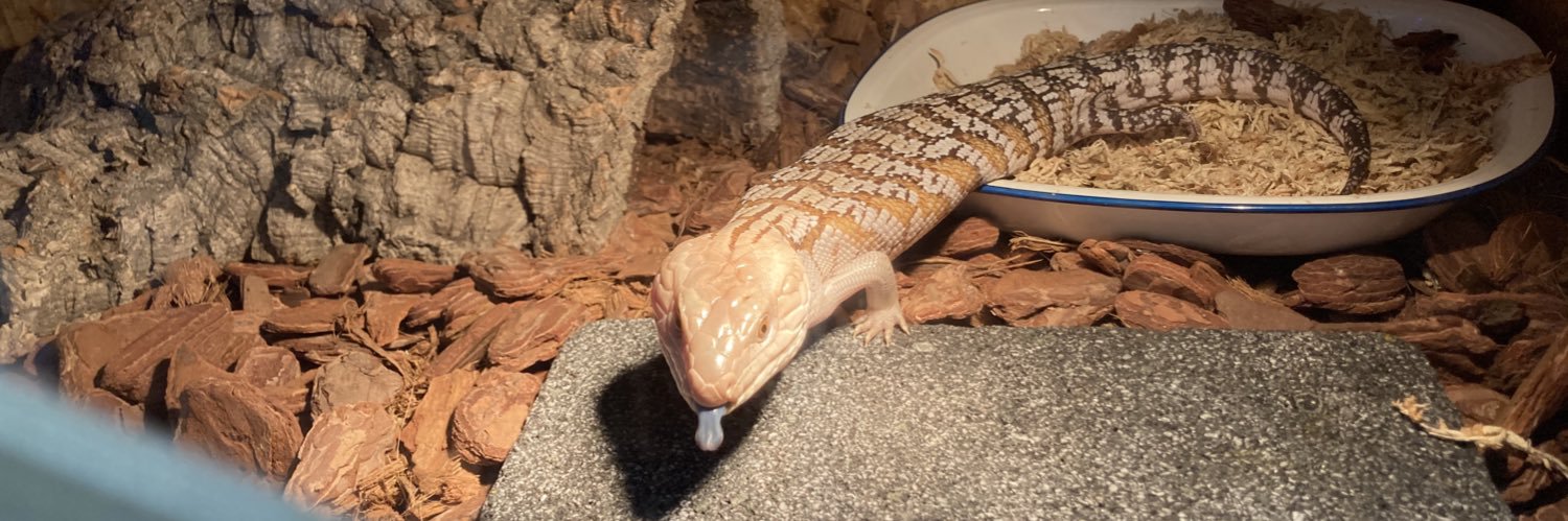 R9Eet's profile banner image
