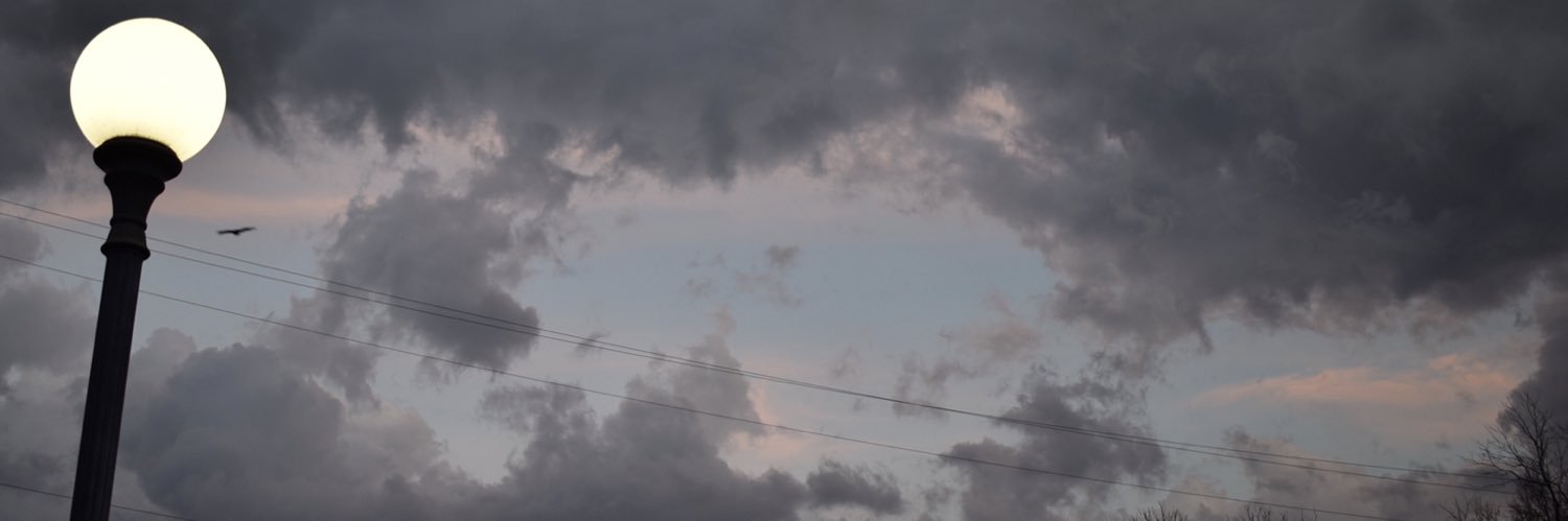 Ethan Sands's banner