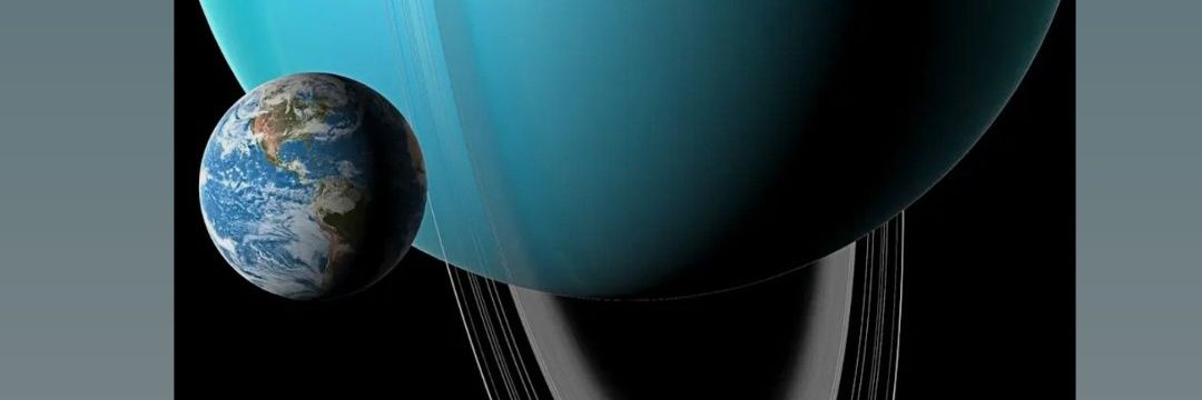 Angelo Bagwiz banner