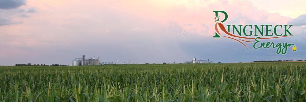RingneckEnergy's profile banner image