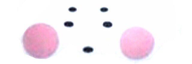 euph_sarasa's profile banner image