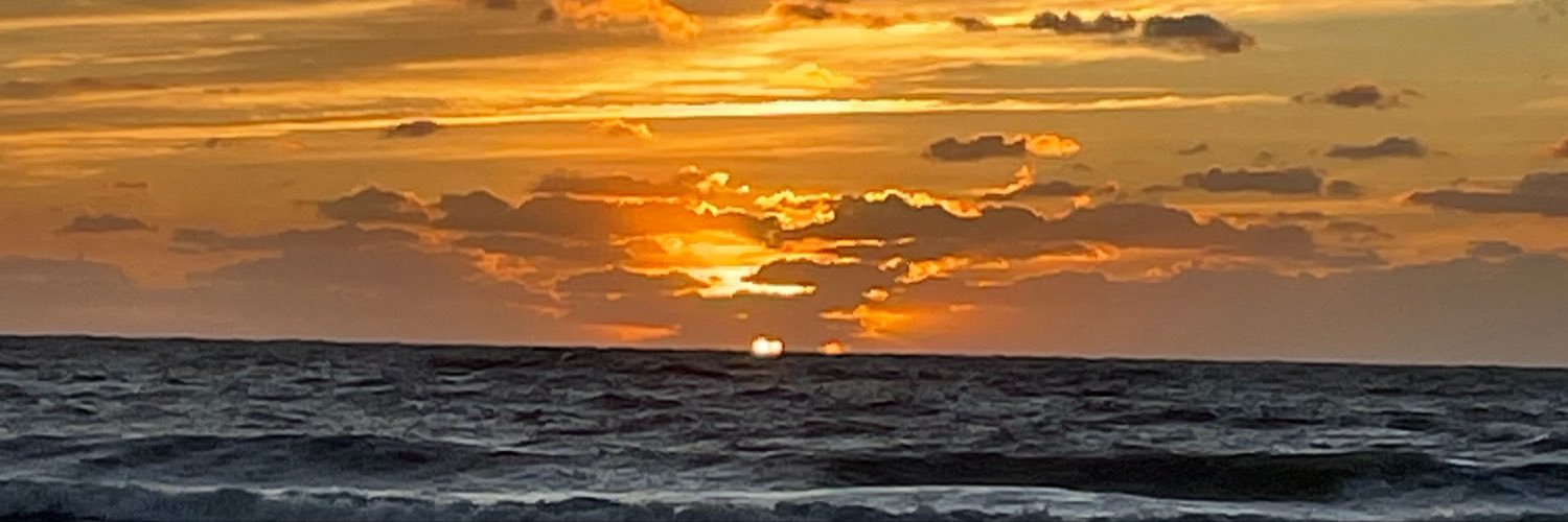 melcarnot's profile banner image