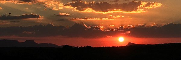 P_deLeon Profile Banner