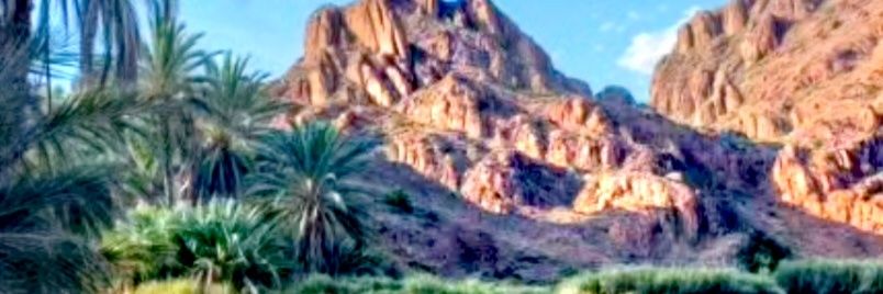 imhassan054's profile banner image
