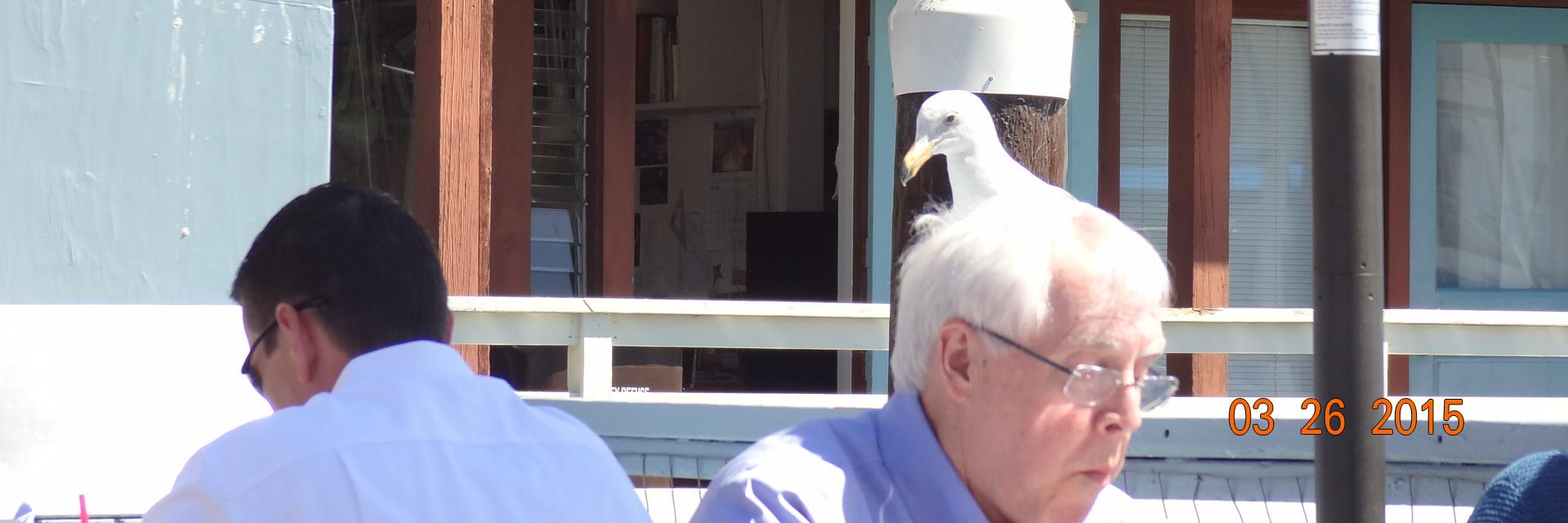 wwkmcclain's profile banner image