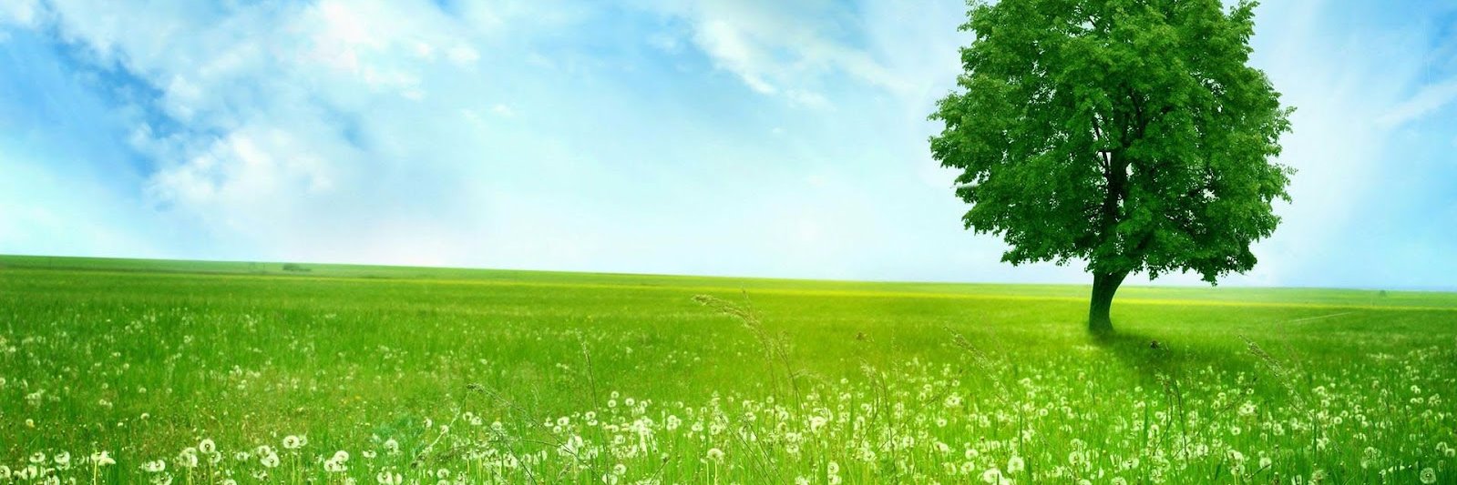 BeGoodWithMoney's profile banner image