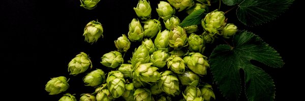 TheExB Profile Banner