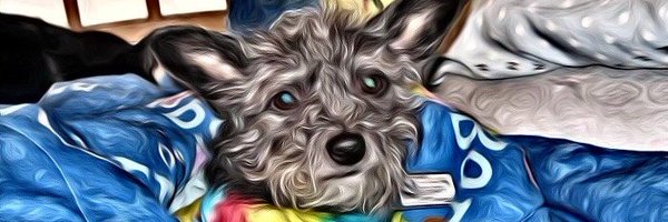 badpiratemonkey Profile Banner