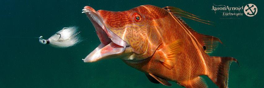HookupLures's profile banner image