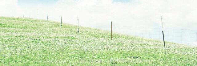 よしだ あけみ banner