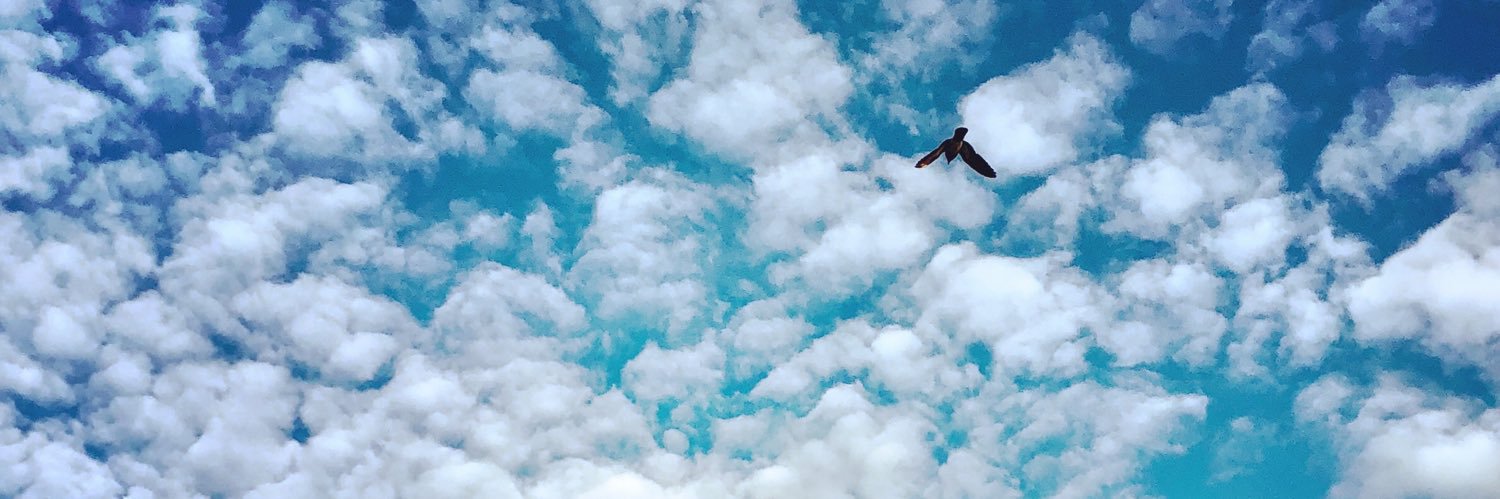 Sandeep Davada banner