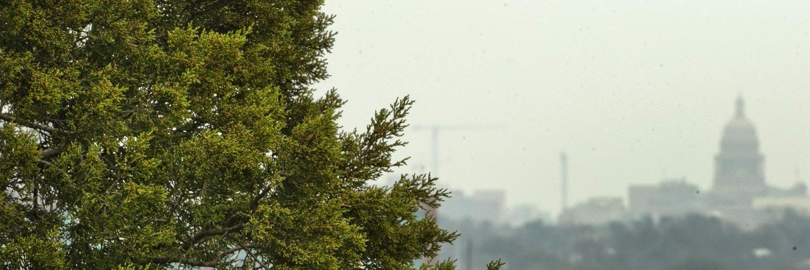 Austin Allergies banner