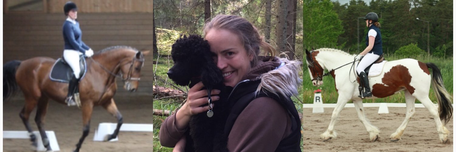 Anna-Karin Palm banner