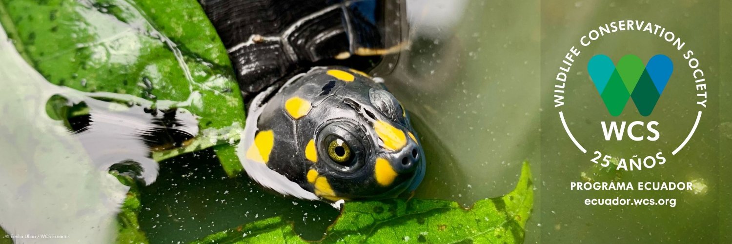WCS Ecuador 💚💙 banner