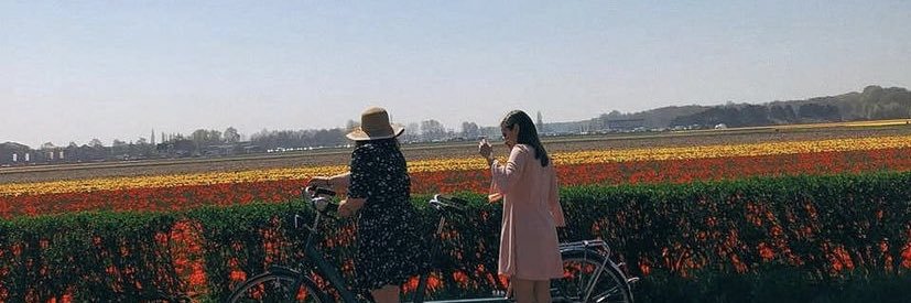 gabycrc's profile banner image