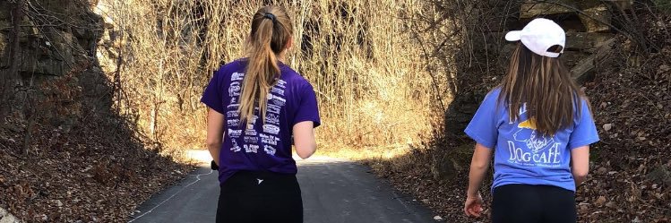 belljarv's profile banner image