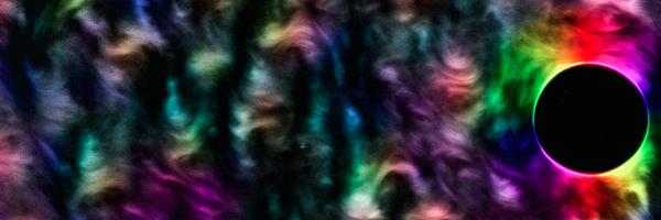 BoekhovenLab Profile Banner