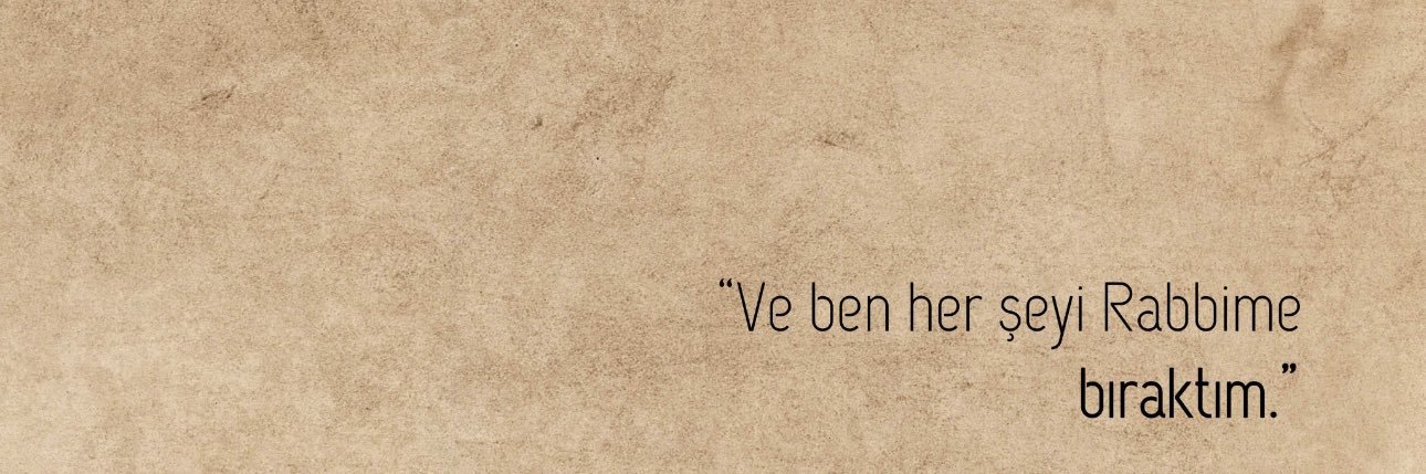 selenkplan's profile banner image