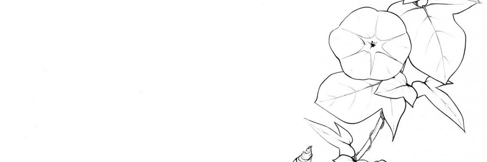 Sprinklesssssss's profile banner image
