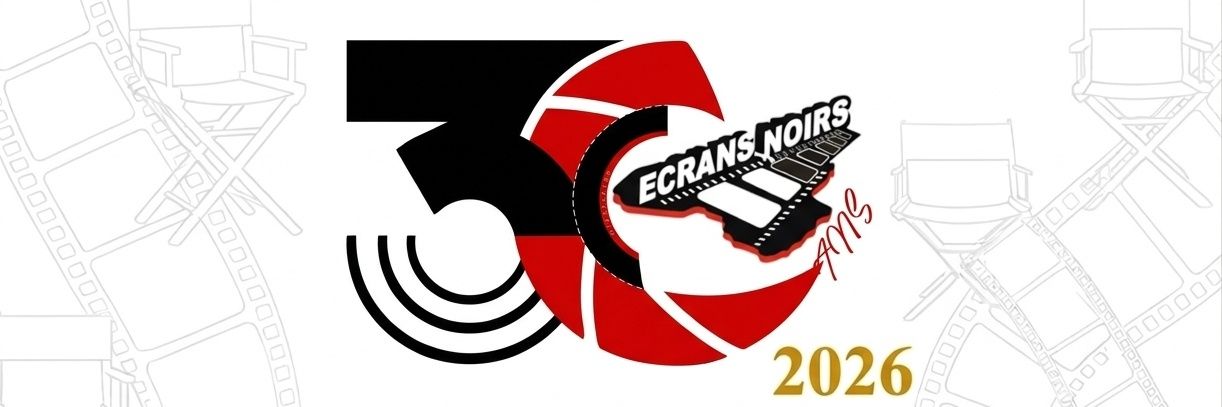 Festival_ecransnoirs banner