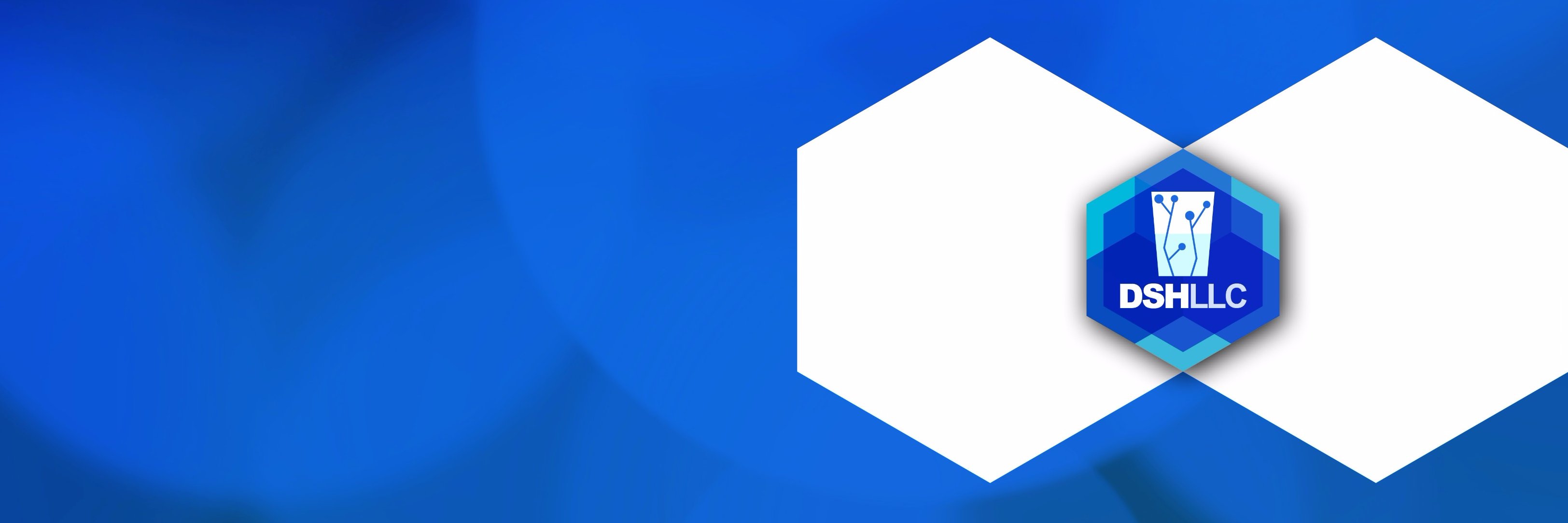 DSH, LLC banner