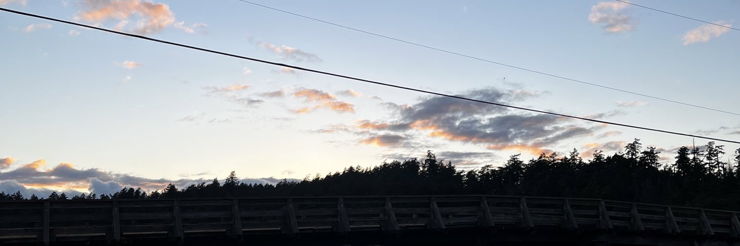 offbrandbrie's profile banner image