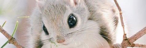 liacatastrophe's profile banner image